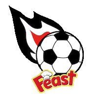 Futbol Top Sticker by Feast Gıda