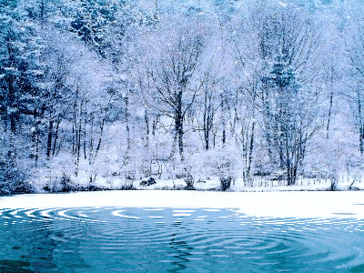 winter GIF
