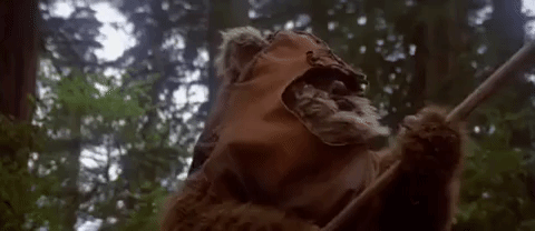 Return Of The Jedi Episode 6 GIF by Star Wars