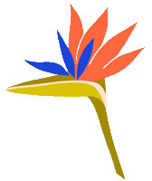 LovingtheLookBabe flower south africa bird of paradise emily long Sticker