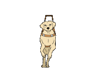 GDDCA guide dog guide dogs of the desert gddca Sticker