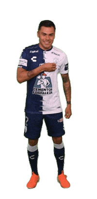 Liga Mx Mexico Sticker by Club Pachuca Tuzos