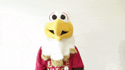 Scared Oh No GIF by Bridgewater College