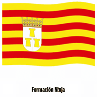 Bandera Teruel GIF by Formación Ninja