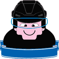 Turunkaupunki turku xylitol turunkaupunki hunajata Sticker