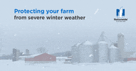 GIF by Nationwide