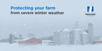 GIF by Nationwide