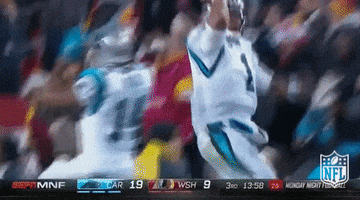 Carolina Panthers Football GIF by NFL