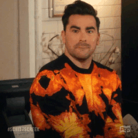 Pop Tv No GIF by Schitt's Creek