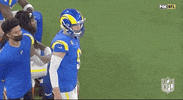 Los Angeles Rams Football GIF by NFL