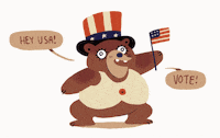Voting Election 2020 GIF by Kiernan Sjursen-Lien