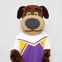 Uwsp GIF by UW-Stevens Point