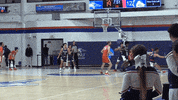 College Basketball Msu Denver GIF by Rowdy the Roadrunner