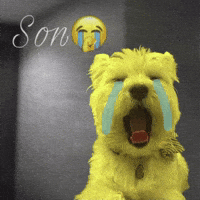 Dog Crying GIF