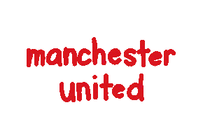 Premier League Football Sticker
