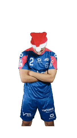 Handball Sticker by TSV Bayer Dormagen