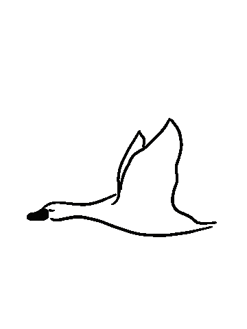 spicealley giphyupload yum duck sydney Sticker