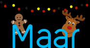maarswimwear christmas christmaslights maar maarswimwear GIF