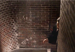 seth meyers television GIF by Saturday Night Live