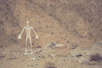 palm springs 3d GIF by Nate Makuch