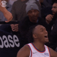 GIF by New York Knicks