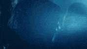 Dance Party GIF by Selena Gomez