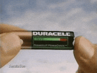 ever GIF