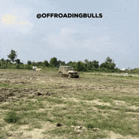India Monster GIF