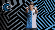 Herd GIF by BS+COMPETITION