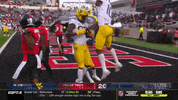 College Football GIF by WVU Sports