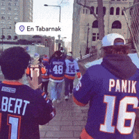 New York Islanders GIF