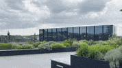 Rooftop Preston GIF by University of Lancashire