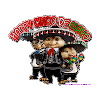 celebrate cinco de mayo STICKER by imoji