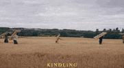 Summer Field GIF by Signature Entertainment