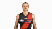 essendonfc dons bombers essendon essendon fc GIF