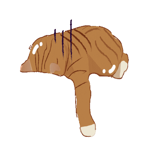 Sad Work From Home Sticker