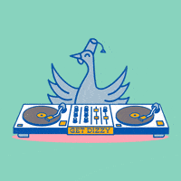 Eat Orange County GIF by Dizzy Bird