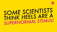Supernormal Stimuli