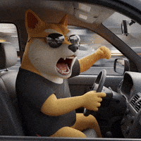 Angry Shiba Inu GIF by Doge Pound