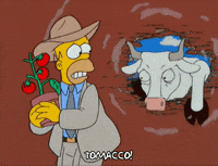 scared homer simpson GIF