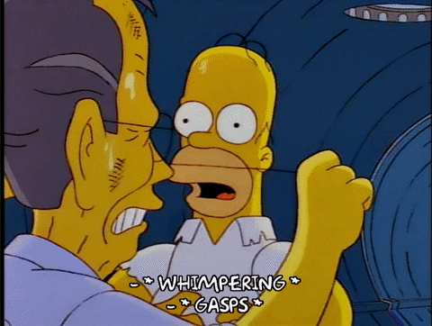 homer simpson episode 13 GIF