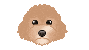 Cute Dog Sticker by zoopeez