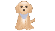 Cute Dog Sticker by zoopeez