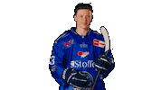 Danjo Sticker by Straubing Tigers