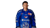 Alexgreen Sticker by Straubing Tigers