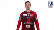 Handball-Bundesliga Hand GIF by DAIKIN HBL