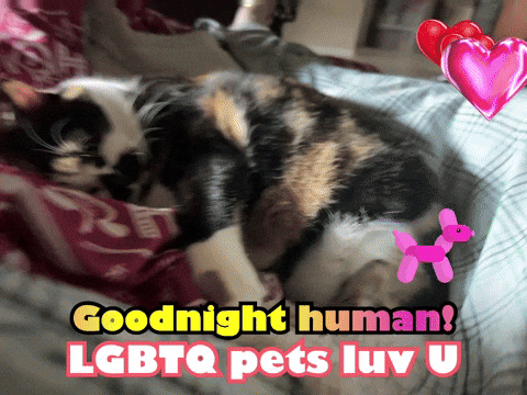 jeremyhyde627ac136f06448b08fd84066bbcb6435 giphyattribution lgbtq pets luv u goodnight human GIF
