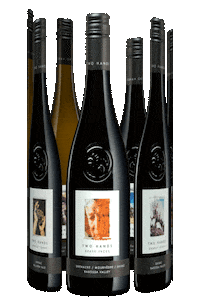 Wine Vino Sticker by TwoHandsWines