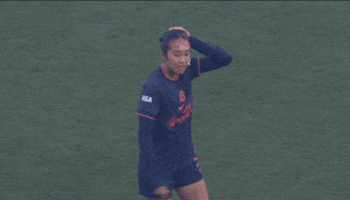 Capricedydasco GIF by National Women's Soccer League