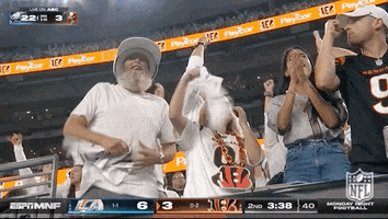 National Football League GIF by NFL